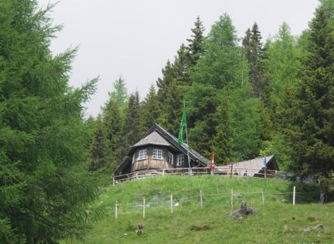 Berfriedhütte - (Wandern, günstig, Camping)