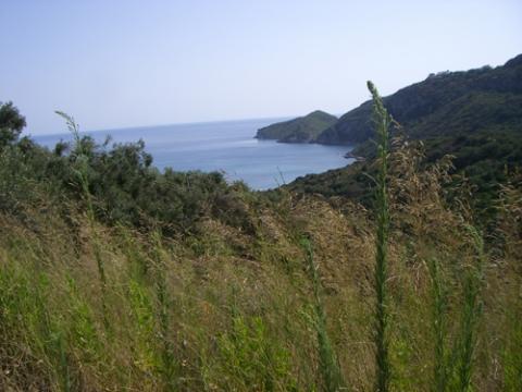 - (Urlaub, Insel, Mittelmeer)