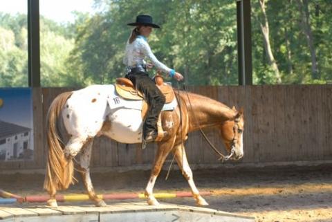 - (Spanien, reiten, Sportreise)